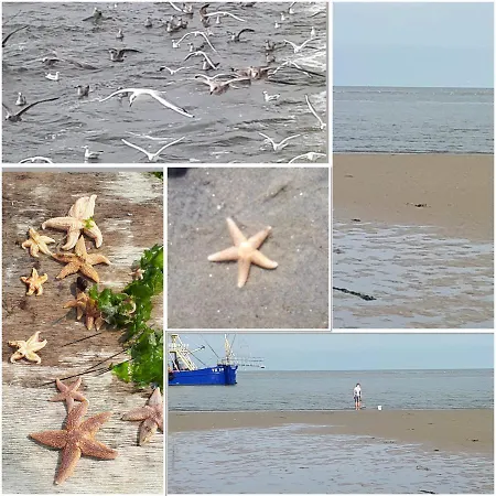 Bij Der Veer Julianadorp