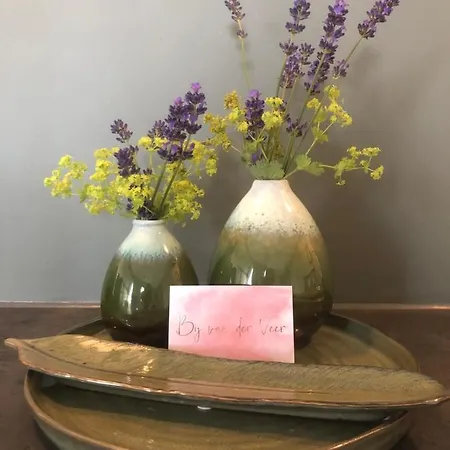 Bij Der Veer Отель типа 