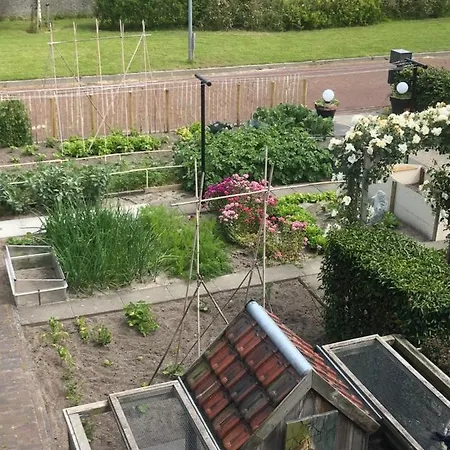 Bij Der Veer 4* Julianadorp