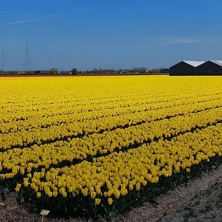 Bij Der Veer 3*