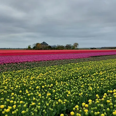 Bij Der Veer 3*