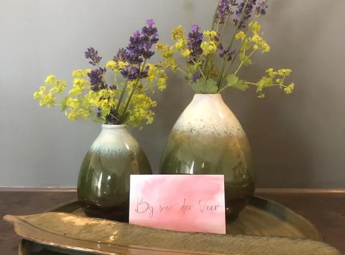 Bij Der Veer Bed and Breakfast