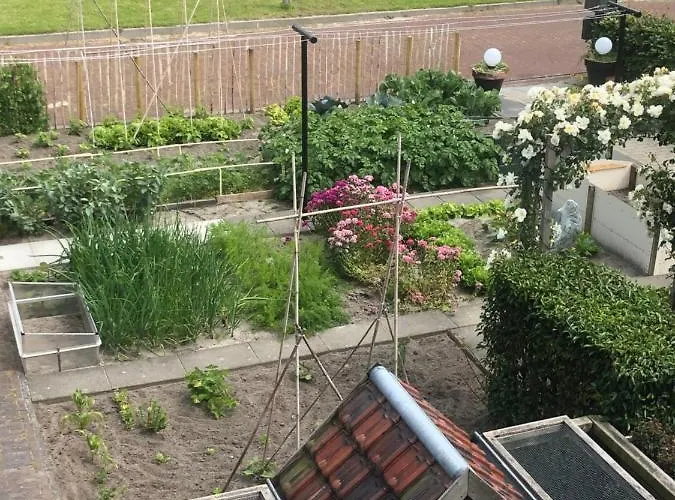 Bij Der Veer 4* Julianadorp