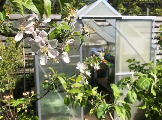 Bed and Breakfast Bij Der Veer Julianadorp