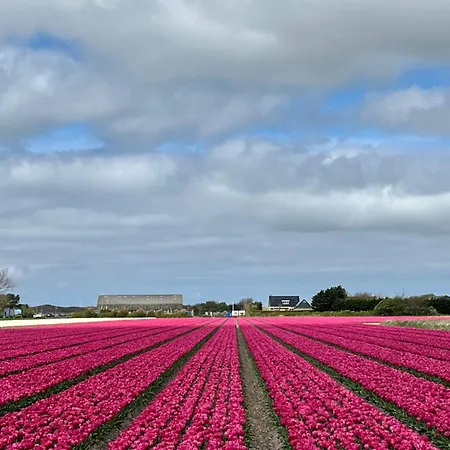 Bij Der Veer 住宿加早餐酒店