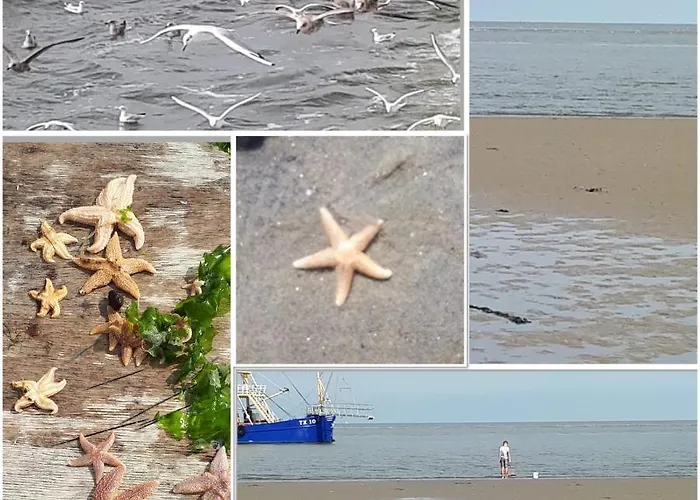 Bij Der Veer 朱丽安娜多普