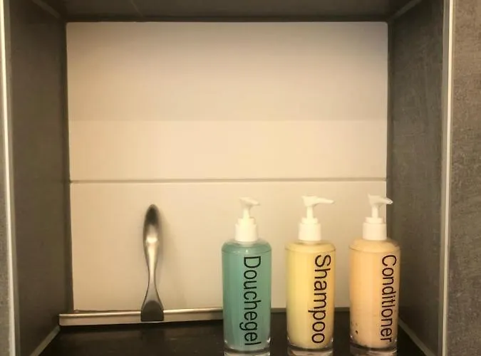 住宿加早餐酒店 Bij Der Veer 朱丽安娜多普