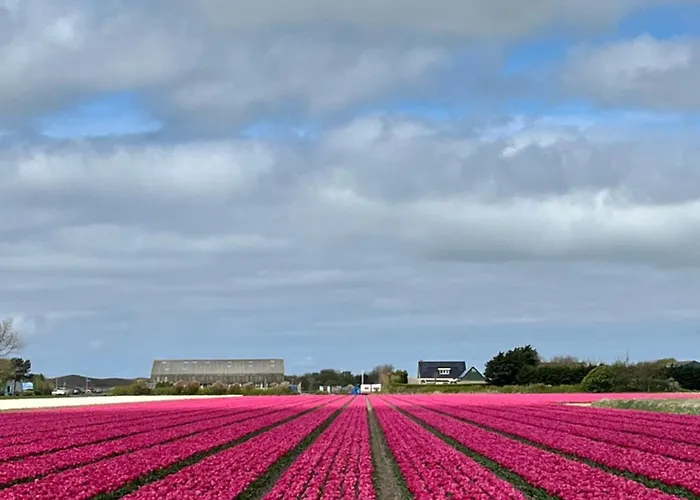 Bij Der Veer 住宿加早餐酒店